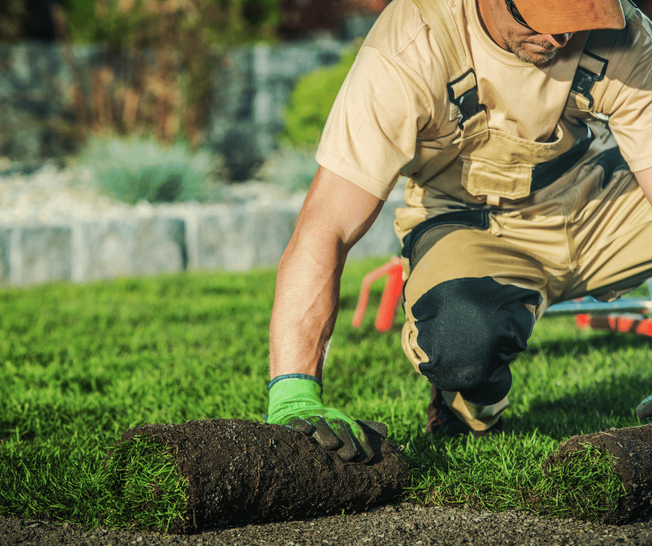 landscaping services